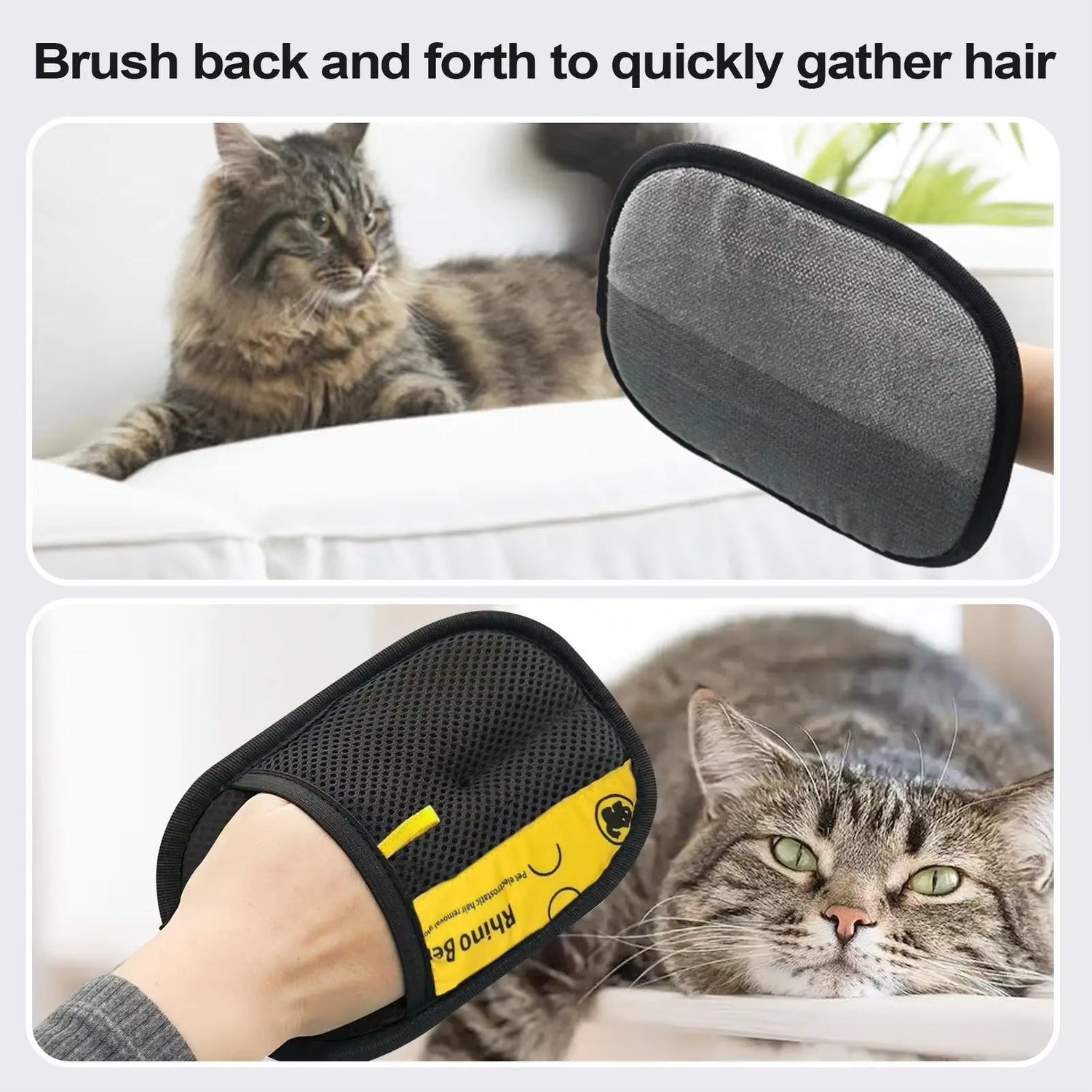 Pet Carrying Collection